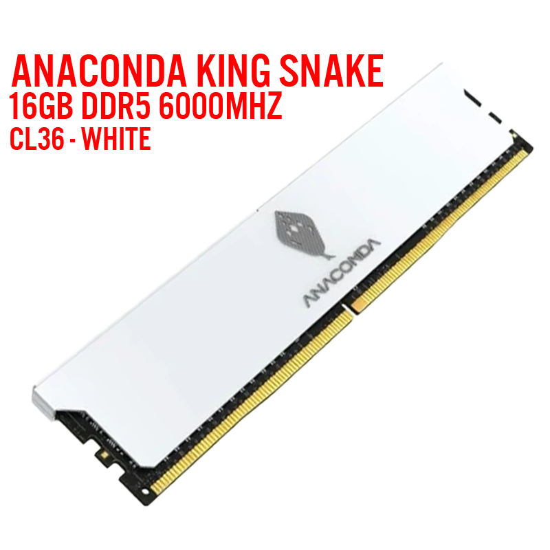 RAM 16GB (16x1GB) 6000MHz CL38  ANACONDA  DDR5- White